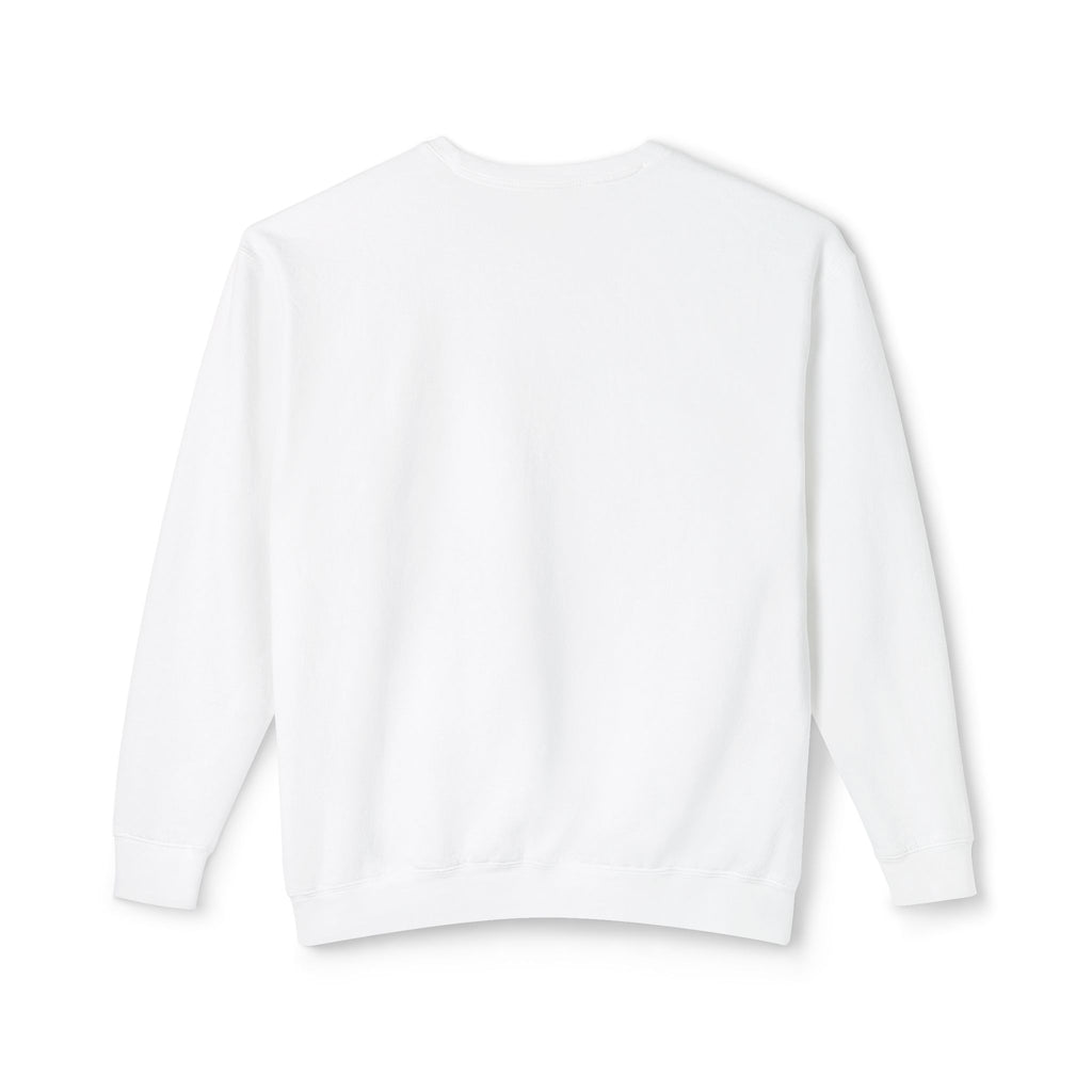 I Party Hard | Cozy Black Cat, Readers Sweatshirt