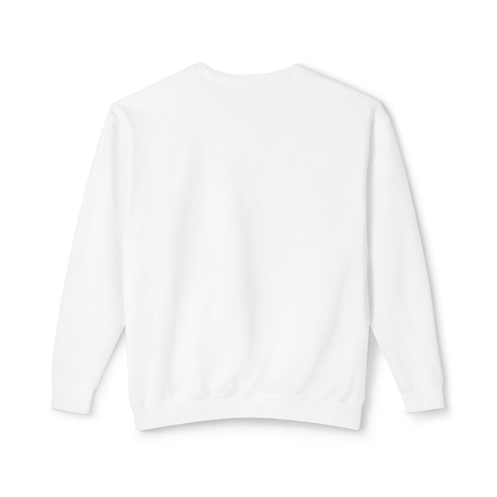 I Party Hard | Cozy Black Cat, Readers Sweatshirt